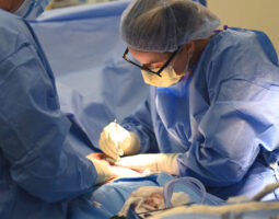 Ksenija Belsley, MD, PLLC